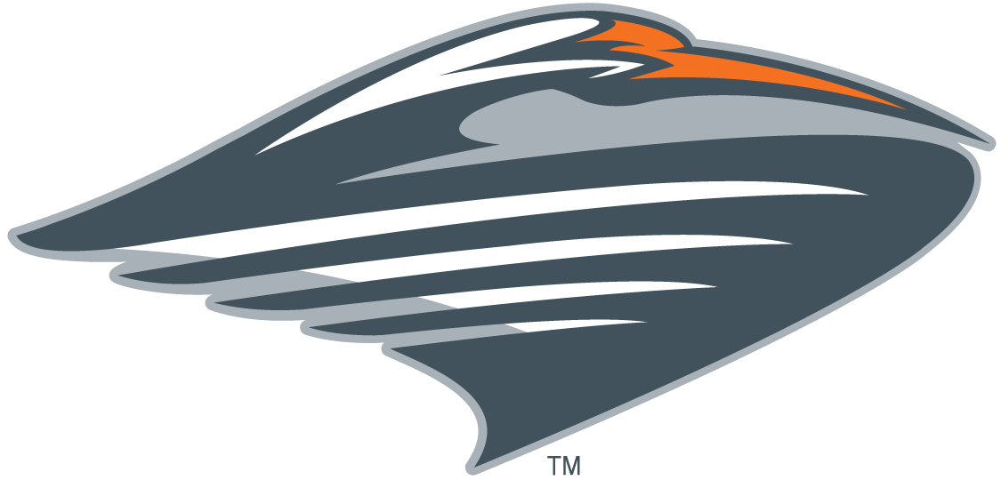 Miami Hurricanes 2000-Pres Alternate Logo v3 DIY iron on transfer (heat transfer)